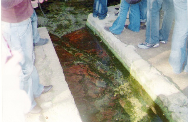 [Digitalizar[3].jpg]