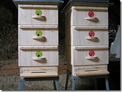 20,3,2011včelky 106 20,3,2011včelky 106