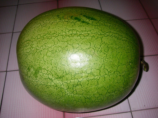 西瓜 西瓜
