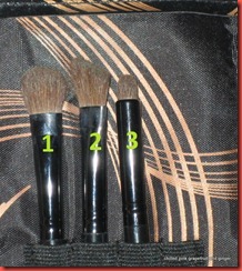 IMG_8113 IMG_8113