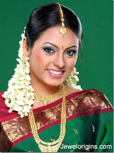 South Indian actress Meenakshi with designer traditional necklacehair 