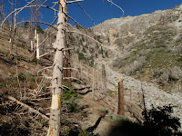 1st wash - Etiwanda Peak? Photo