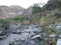 PA310726.JPG Photo