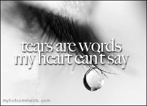 [c72fc8a1e4416e0159096ce3647a45b4[2].jpg]