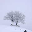 IMG_7572.jpg