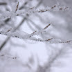 IMG_7569.jpg