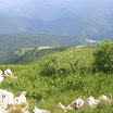 DSCN0070.JPG