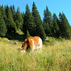 DSCN3443.JPG