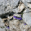 DSCN3553.JPG