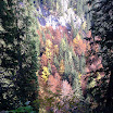 DSCF2953.JPG