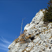 DSCF2984.jpg