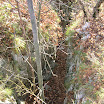 DSCN3775.JPG