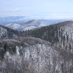 IMG_1456.JPG