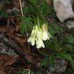 DSCF4781.JPG