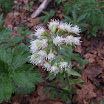 DSCF4784.JPG