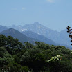 DSCF5177.JPG