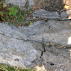 DSCN4198.JPG