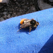 DSCN4187.JPG