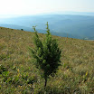 DSCN4194.JPG