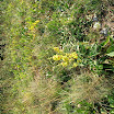 DSCN4195.JPG