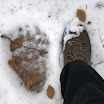 DSC_1833.jpg