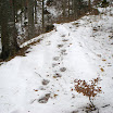 DSC_1830.jpg