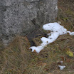 DSC_1843.jpg