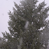 PC280072.JPG