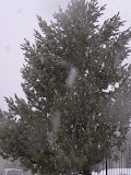 PC280072.JPG