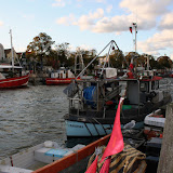IMG_0242.jpg