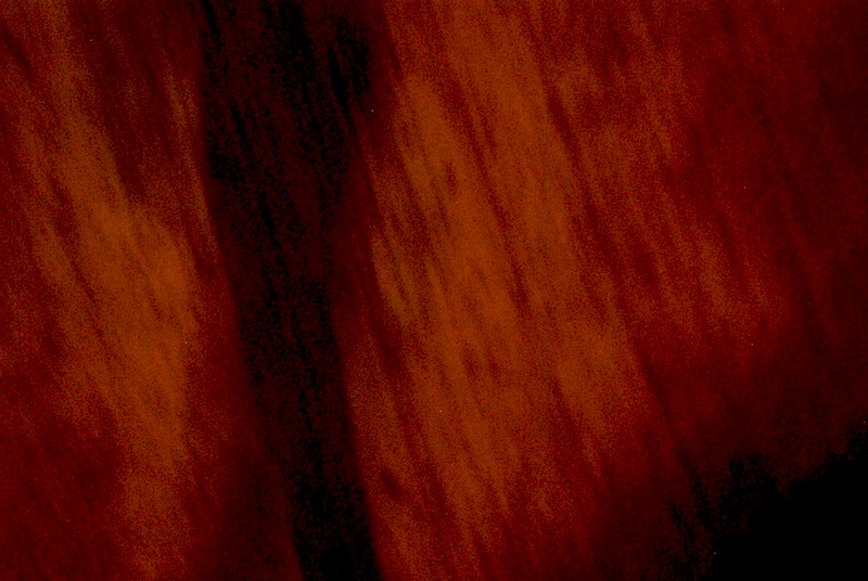 20080923_0395_blur.jpg