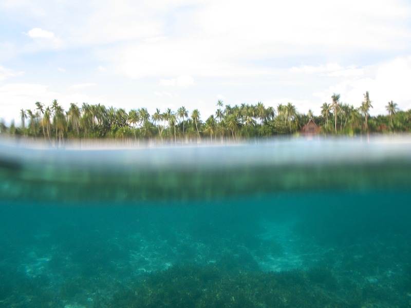 20090209_0140_snorkeling.jpg