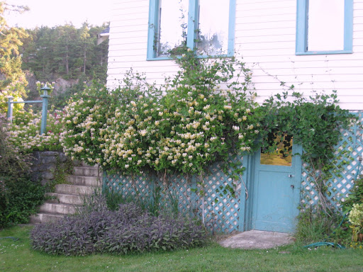 Maggie's Cottage