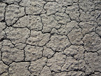 Dirt