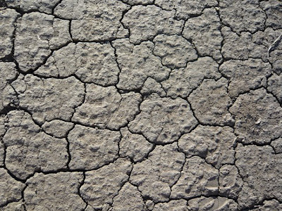 Dirt