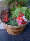 Community Supported Agriculture