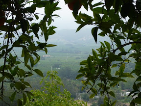Ojai Shelf Road Hike