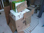 Cardboard Box Play