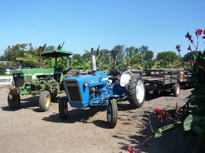 Tanaka Farms Cookout Tour