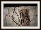 Stick Collecting