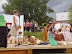 p6060080.jpg