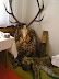dniobce2006016.JPG