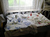 P1010177.JPG