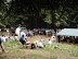 p6070083.jpg