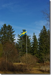 IMGP2236