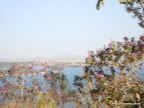 DSC07161.JPG