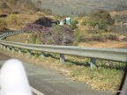 DSC07181.JPG