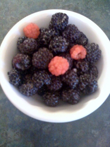 [blkberrydish[3].jpg]