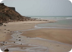 IMG_2074 IMG_2074