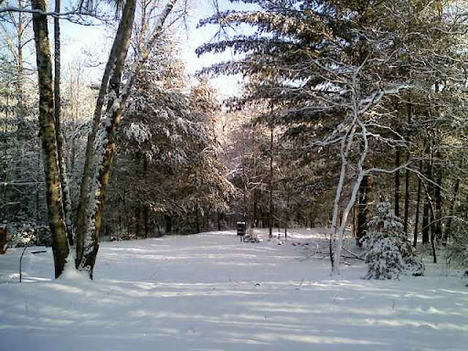 100213 - snow - burn barrel.jpg